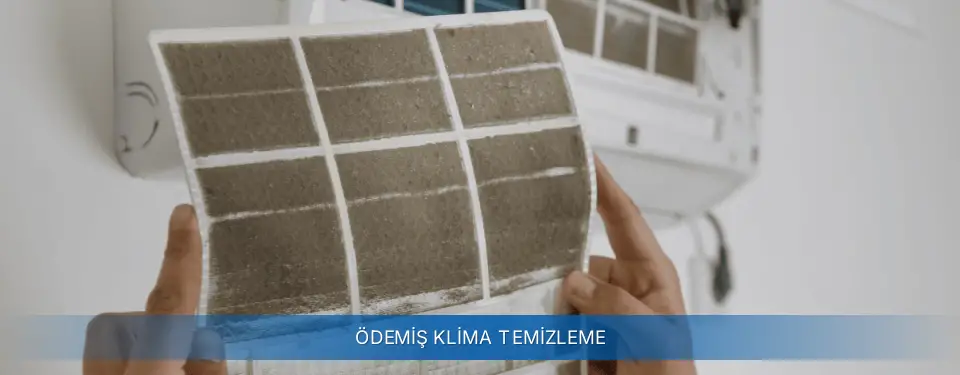 Ödemiş İlçemi AUX Klima Temizleme